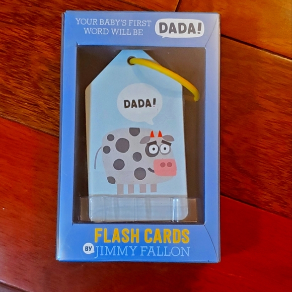Jimmy Fallon DaDa Flash Cards - Picture 2 of 3